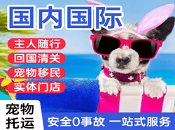 无锡硕放航空物流国际宠物托运 【国